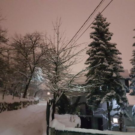 Cosy And Chic... Parking Included Apartamento Sarajevo Exterior foto