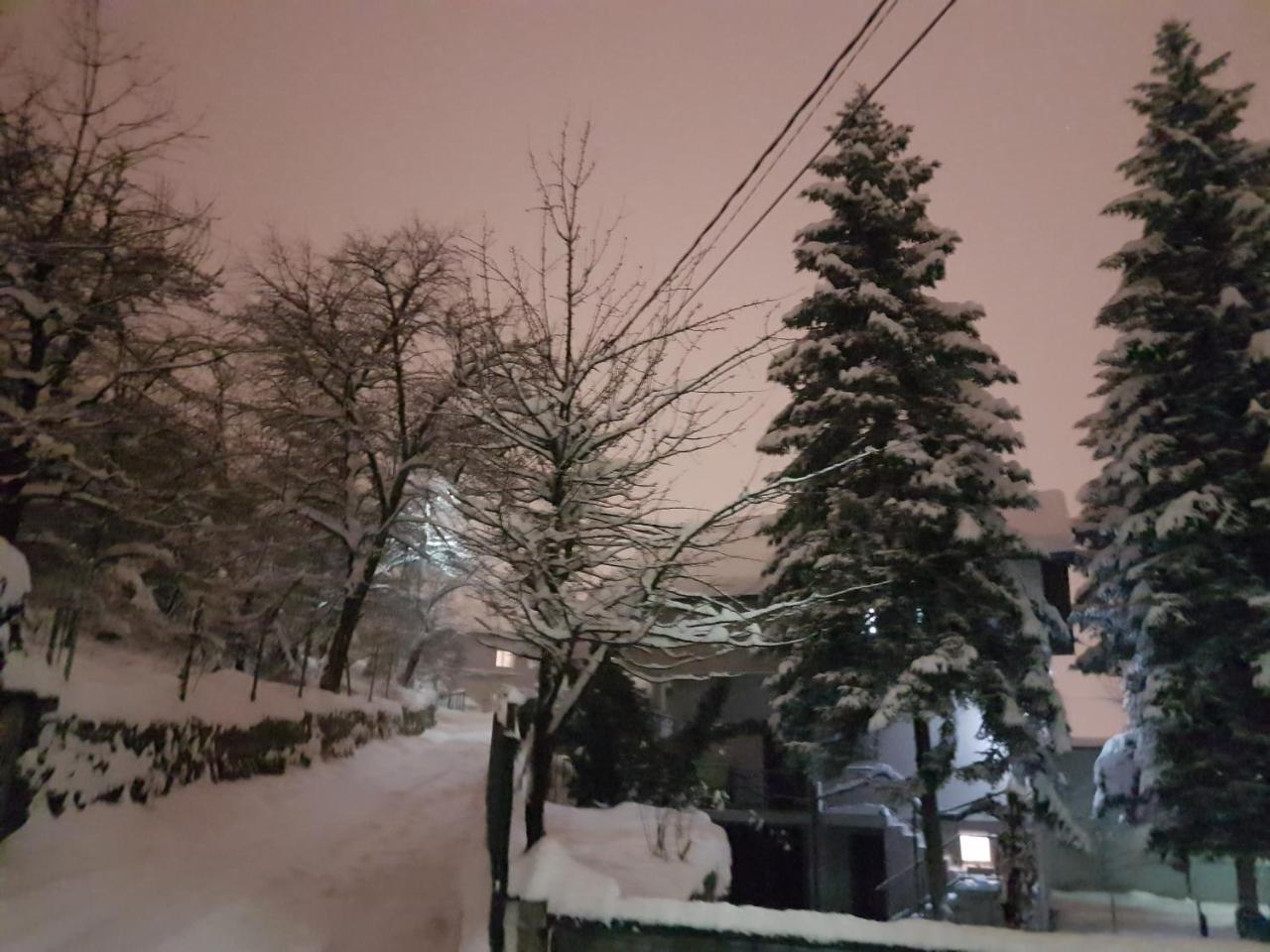 Cosy And Chic... Parking Included Apartamento Sarajevo Exterior foto